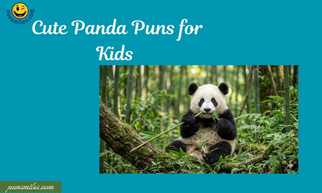Cute Panda Puns for Kids