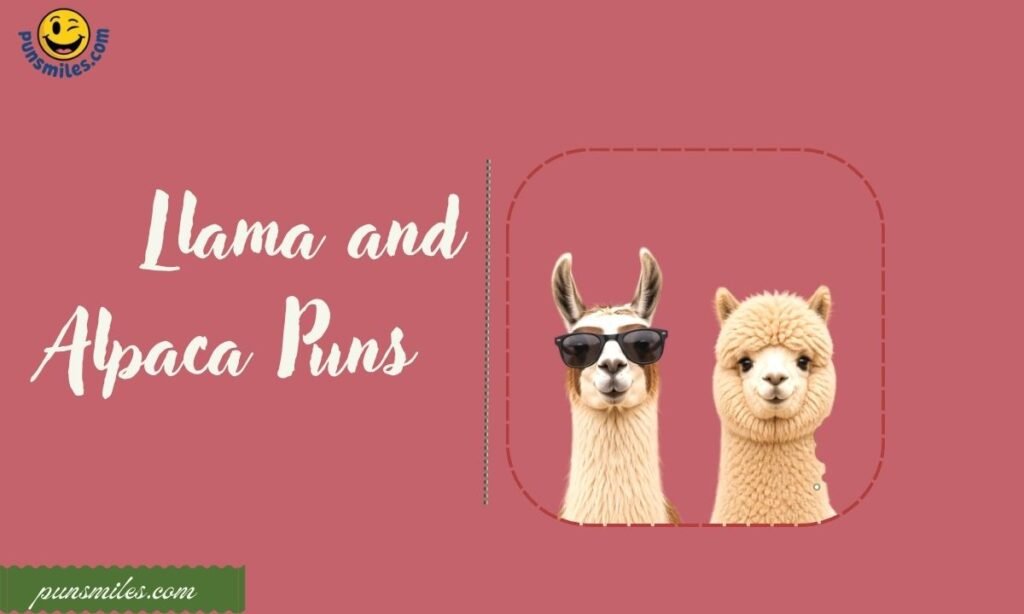 Llama and Alpaca Puns