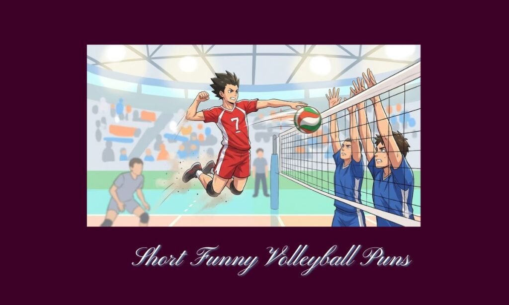 Short Funny Volleyball Puns