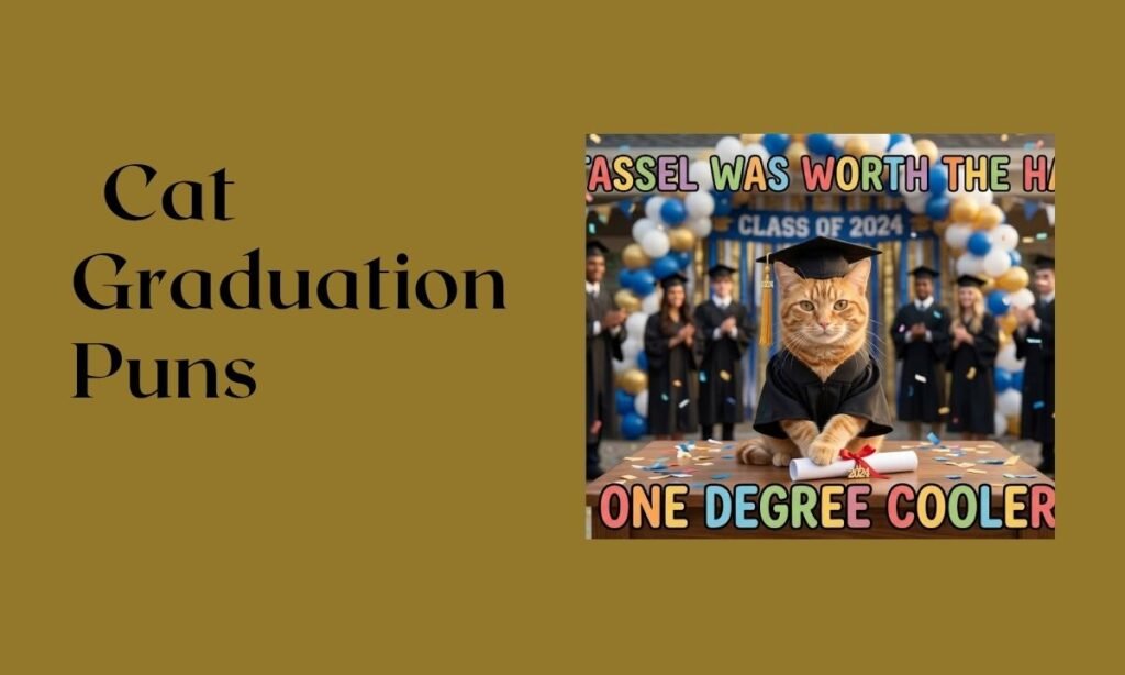 Cat Graduation Puns