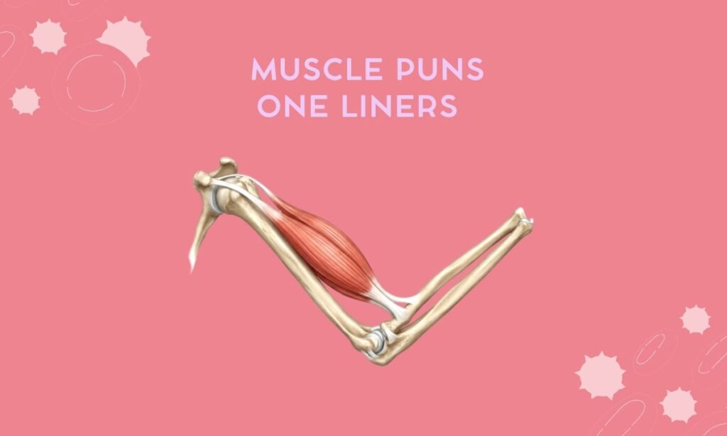 Muscle Puns One Liners