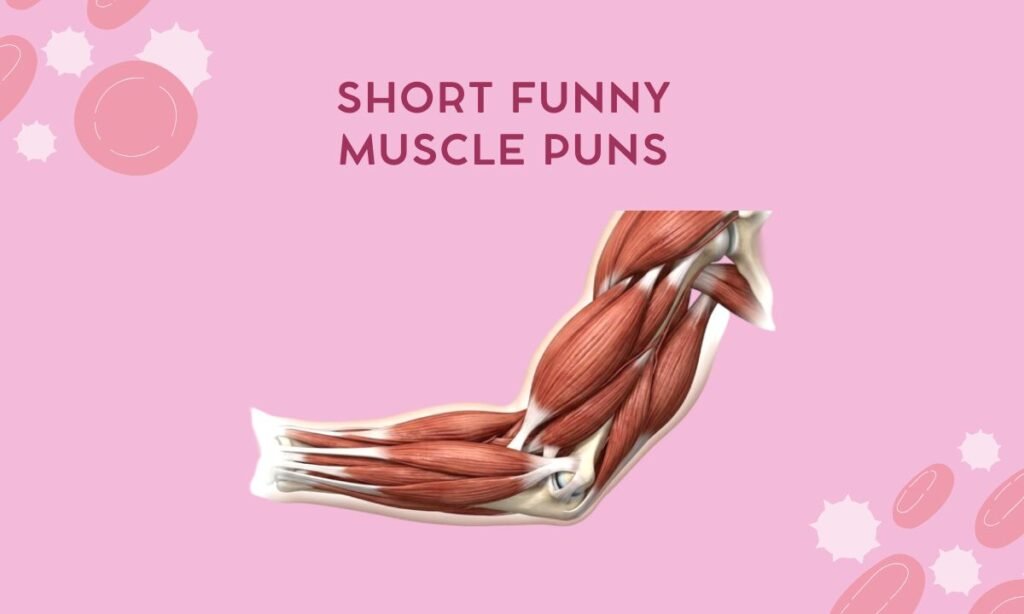 Short Funny Muscle Puns